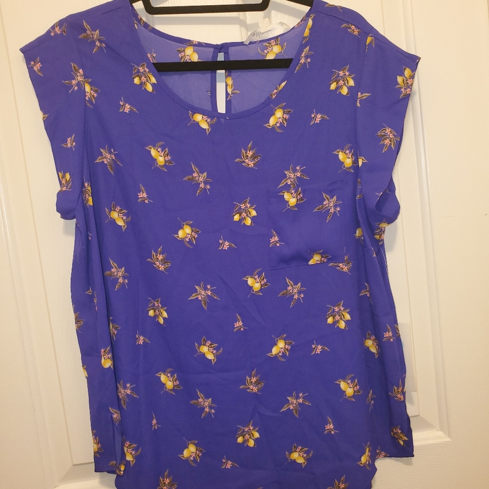 Alice blue XL one pocket Blouse